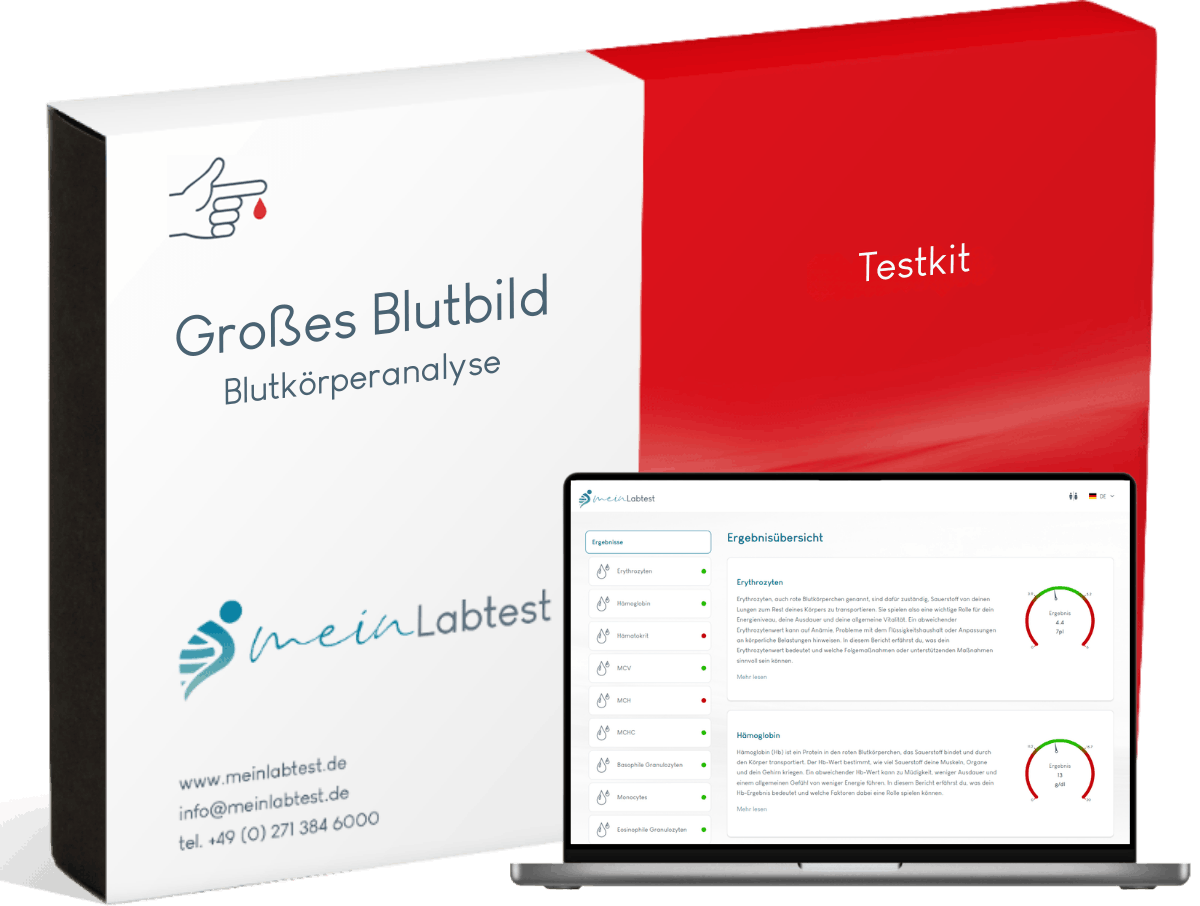 Meinlabtest Großes Blutbild — Heimtest-Kit
